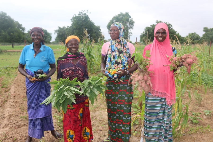 Appui aux femmes déplacées de Zecca (commune de Diabo) dans l'acquisition d'espace pour la production maraichère
